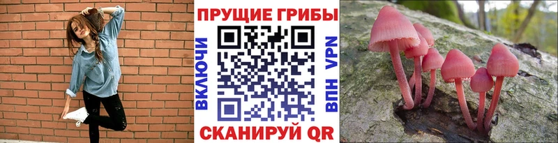 Галлюциногенные грибы Psilocybine cubensis Купить закладки Нижневартовск